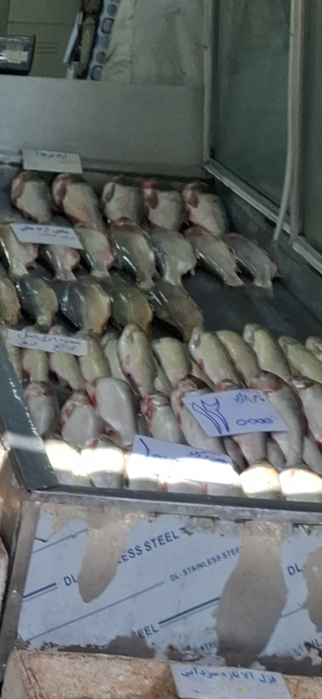 بارگزاری تصویر آخرین تاییدیه