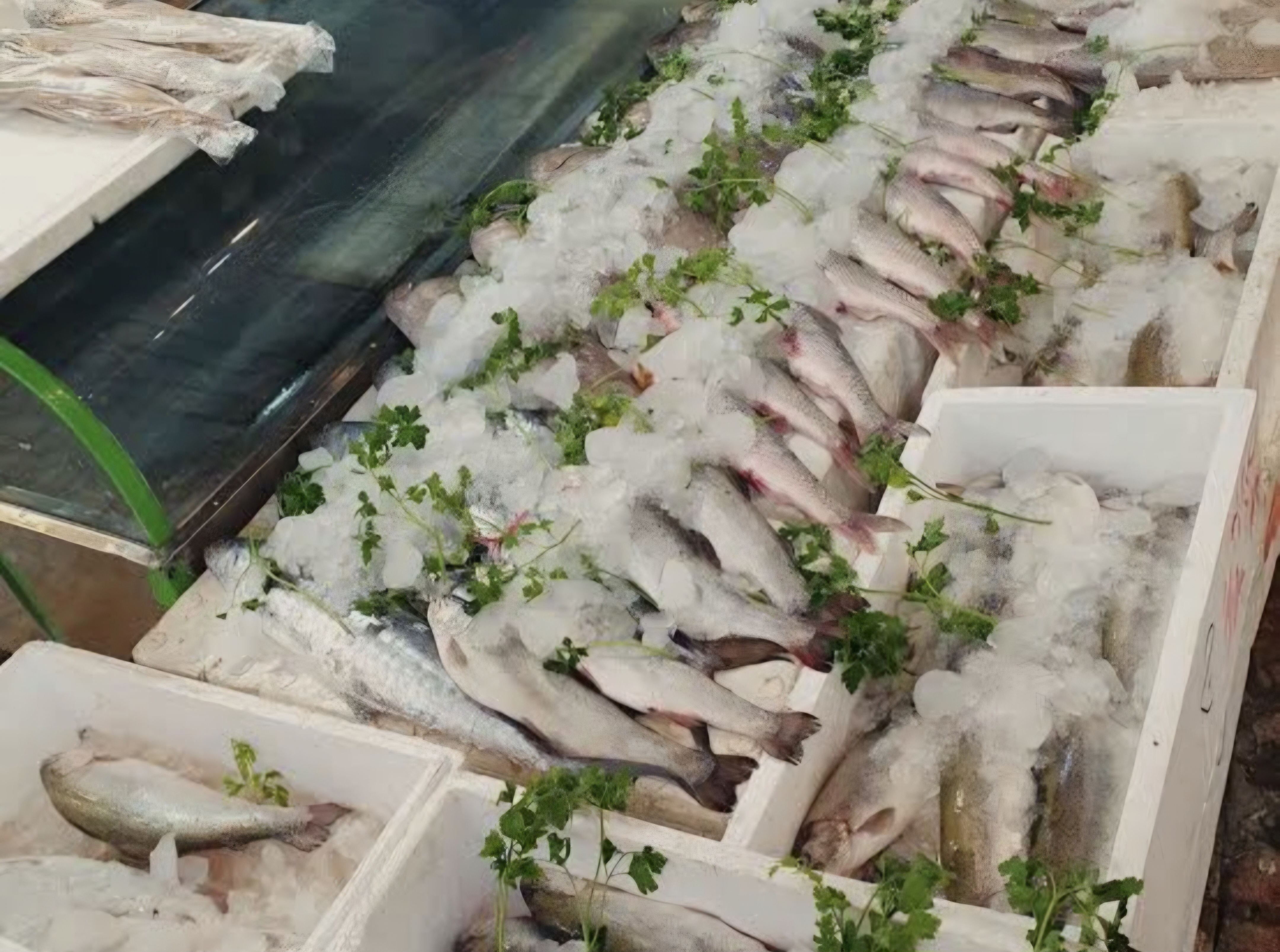 بارگزاری تصویر آخرین تاییدیه