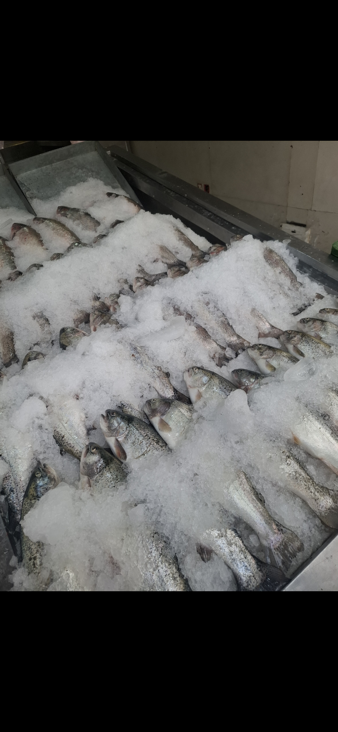 بارگزاری تصویر آخرین تاییدیه