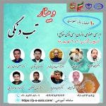 وبینار تب دنگی